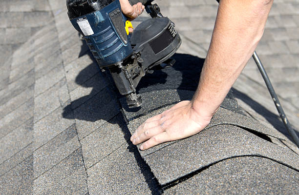 Best Roof Moss and Algae Removal  in Walls, MS
